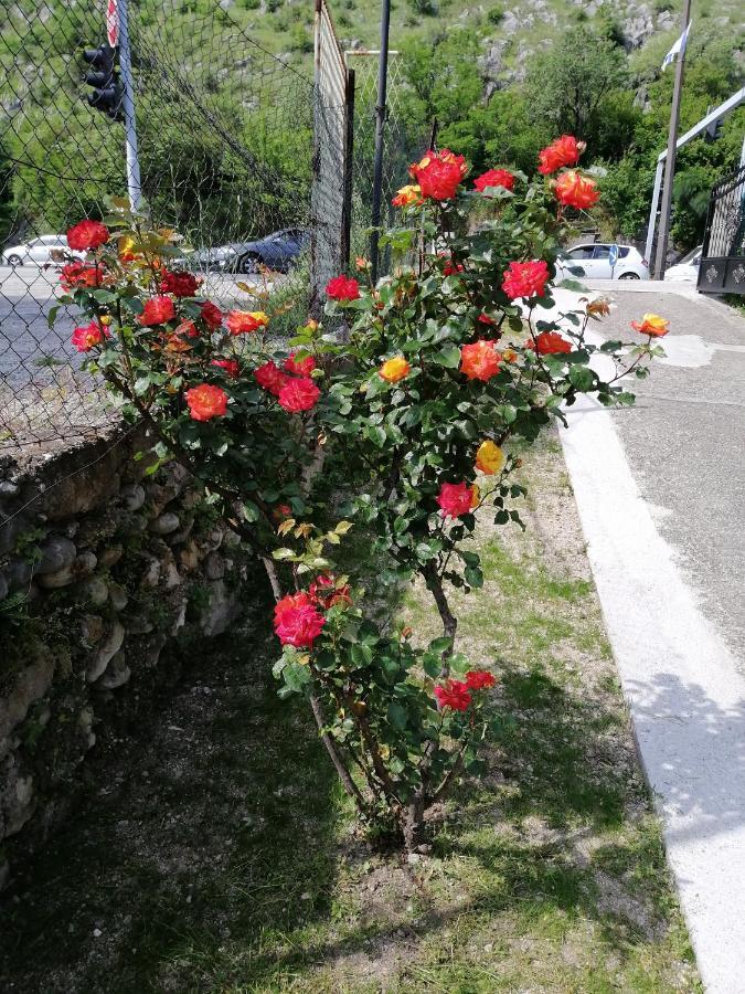 Apartmani Taki Mostar Exterior foto